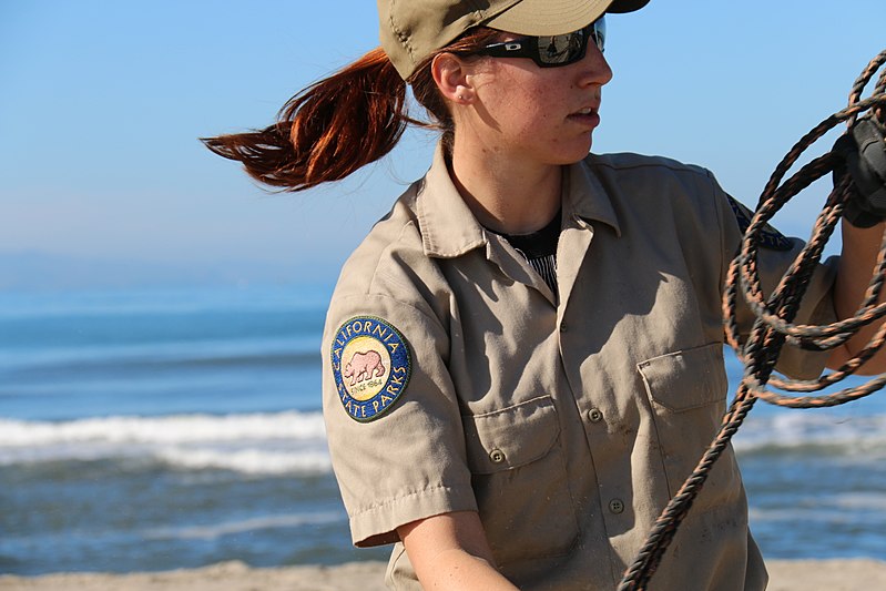 File:California State Parks staff install fencing (16447762807).jpg