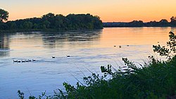 Canada Geese on the Missouri River. PHOTO WALK ENGLISH LANDING PARK (41624903745).jpg