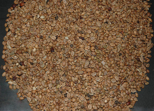 Un-roasted robusta beans