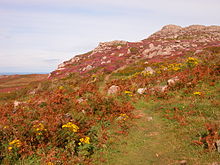 Carn Llidi from St David's Head Carn Llidi 2.JPG