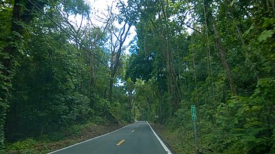 Carretera PR-146, Ciales, Puerto Rico (1).jpg