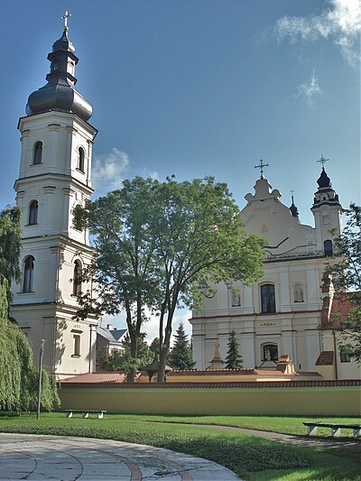 Catedral basílica de la Asunción de la Virgen María (Pinsk)