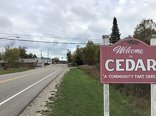 Michigan Cedar