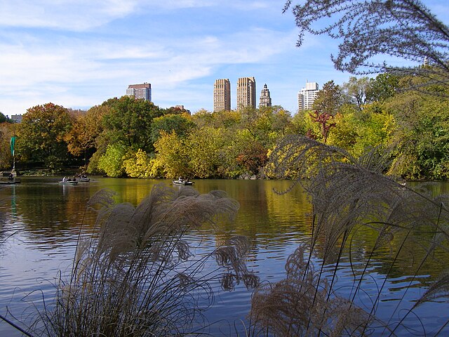 Central Park