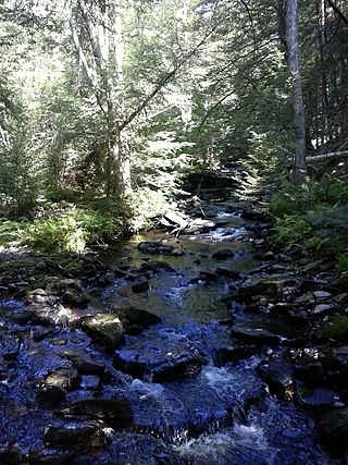 <span class="mw-page-title-main">Cherry Run (South Branch Bowman Creek tributary)</span> River