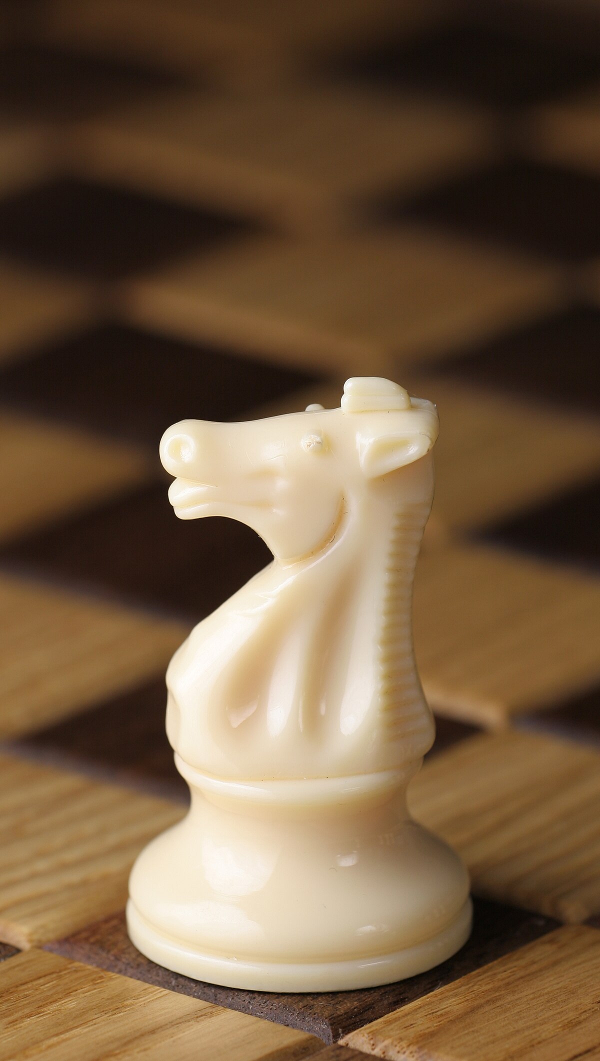 WHY ARE CHESS PIECES NAMED WHAT THEY ARE?