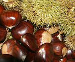Chestnuts02.jpg