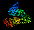 ChimeraX rendering of HSA (PDB 1AO6).png