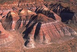 Fossils of Poposaurus gracilis have been found from the Chinle Formation in Grand Staircase-Escalante National Monument, Utah. Chinle Badlands.jpg