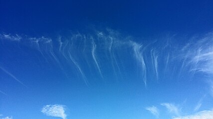 Cirrus uncinus