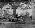 Soldados feridos sendo atendidos em um campo após a batalha de Chancellorsville, 2 de maio de 1863.