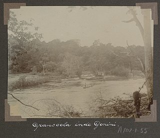 <span class="mw-page-title-main">Gonini River</span> River in Suriname