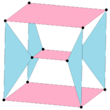 Stereographic projection of complex polygon, 3{}x4{} has 12 vertices and 7 3-edges, shown here with 4 red triangular 3-edges and 3 blue square 4-edges. Complex polygon 3x4 stereographic3.png