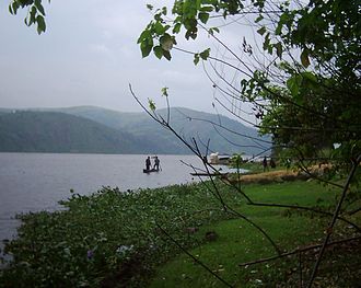 The Congo River is a major breeding area of the African river martin Congo maluku.jpg