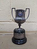 Miniatura para Final de la Copa del Rey de fútbol 1976-77