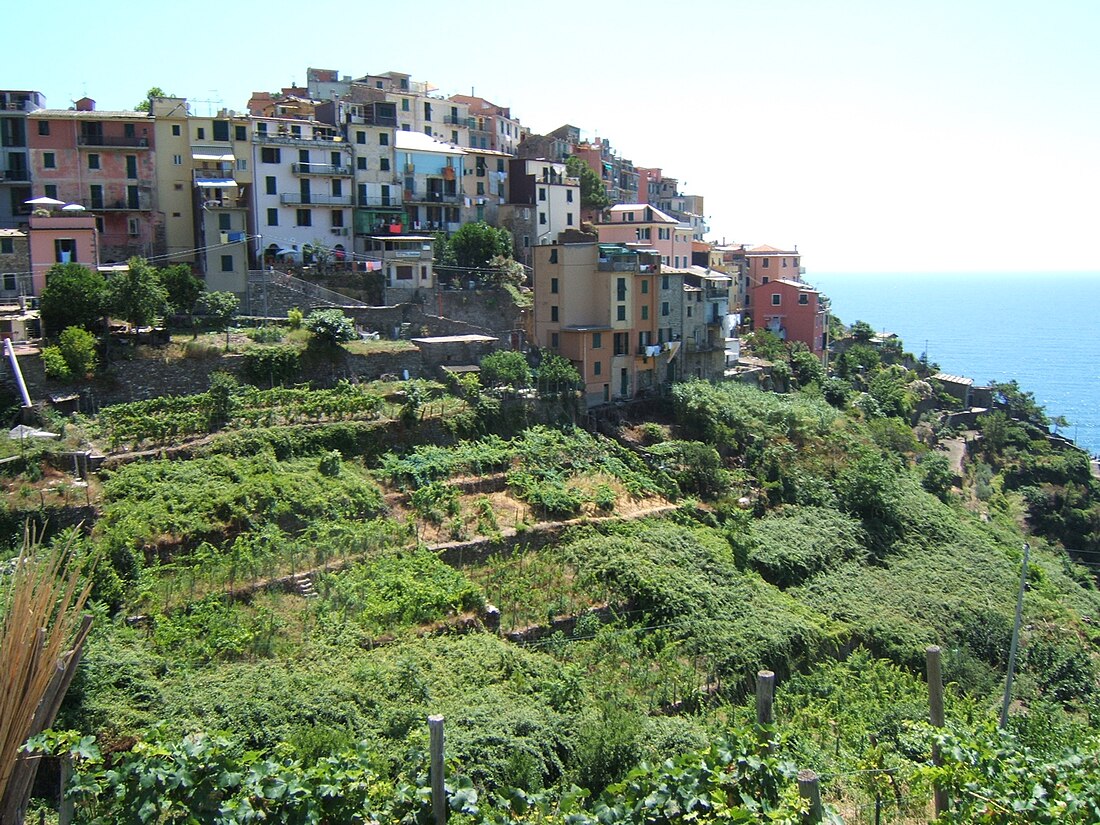 Corniglia