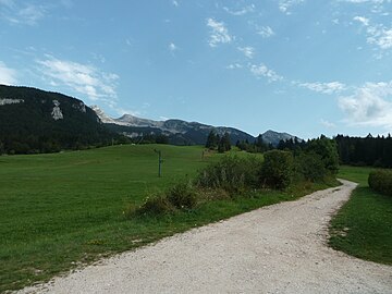 Les Rambins 2011-ben.