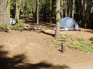 Crane Flat Campground campground in California