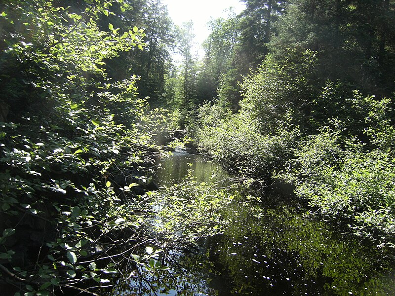 File:Creek - panoramio (7).jpg