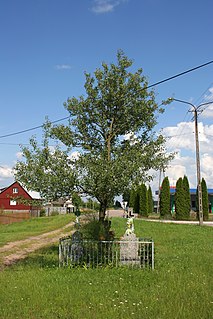 Czeremcha-Wieś,  Podlasie, Poland