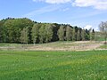 Naturschutzgebiet Schönmoos Kressbronn am Bodensee