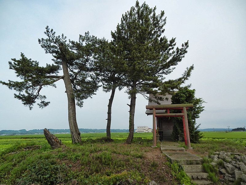 File:Dainichizuka Hirono, Sakata-shi, Yamagata-ken 998-0125, Japan - panoramio.jpg