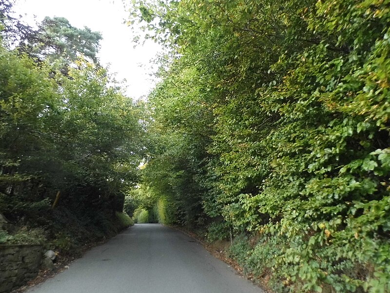 File:Deadhearn Lane, Chalfont St Giles - geograph.org.uk - 4692057.jpg