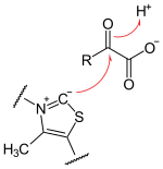 Decarboxylierung alpha-Ketosäure Schritt 1.svg