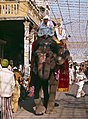 Delhi-06-Fest-Elefant-1976-gje.jpg