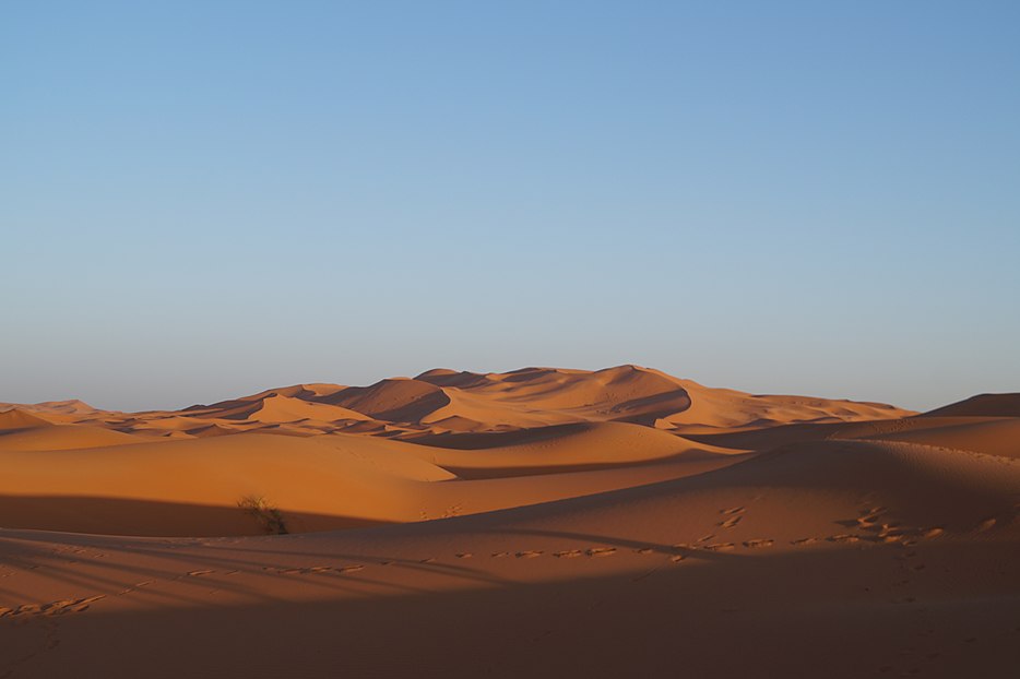 Desert many. Тропические пустыни и полупустыни Африки. Ярданги, дюны, Барханы. Пустыня Сечура. Тропические пустыни Евразии.