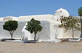 Façade de la mosquée Sidi Salem Essatouri vue de l'extérieur et coiffée d'une coupole ; trois arbustes sont plantés au premier plan.
