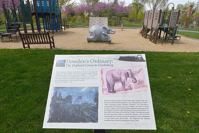 File:Dowdens Ordinary Elephant sign Clarksburg MD 20210423 140711 1.jpg