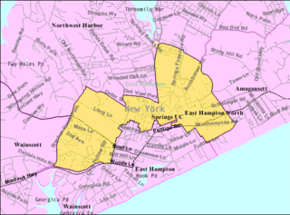 East Hampton North, New York Census-designated place in New York, United States