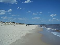 Playa de El Pinar, en la bajada 34.