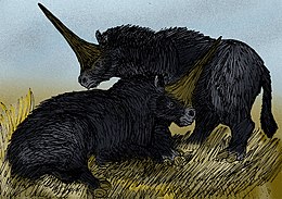 Rajz két Elasmotherium sibiricumról