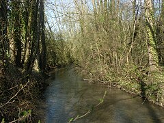 l'Ancre à Thuisy