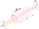 Miniatuur voor Faraday-effect