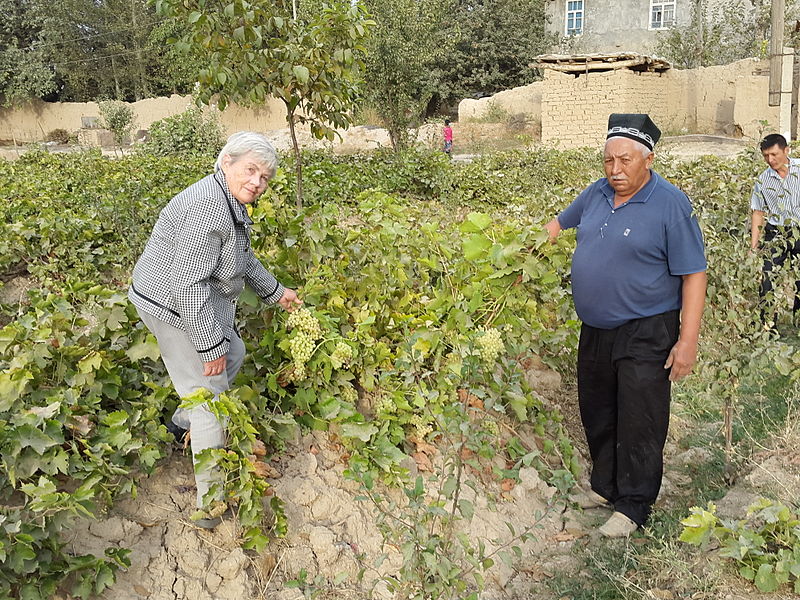 File:Farmer and Scientist in Vineyard.jpg