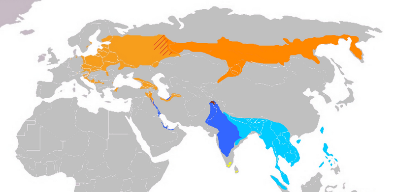 File:Ficedula parva & Ficedula albicilla distribution.png