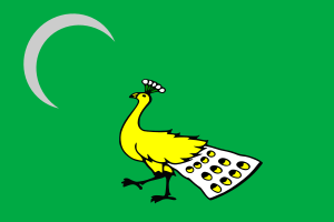 Flag of the Ghaznavids (16 Great Turkic Empires) 1.svg