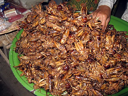 Deep-fried crickets