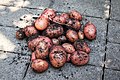 Frische Kartoffeln (29703002022).jpg