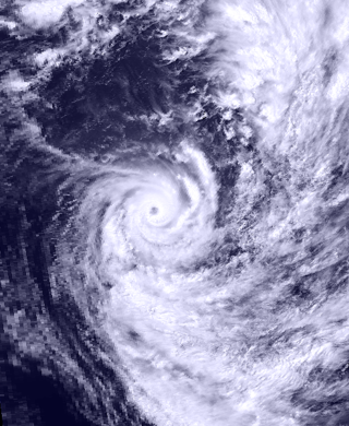 <span class="mw-page-title-main">Cyclone Gavin</span>