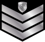 File:GR-Police-OR8.svg