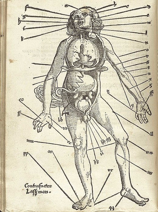 Aderlaatpunten in het Feldbuch der Wundarzney 1517, door Hans von Gersdorff, illustratie Hans Wechtlin