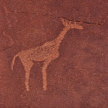 Rock engraving of a giraffe in Twyfelfontein valley Giraffe, Twyfelfontein.jpg