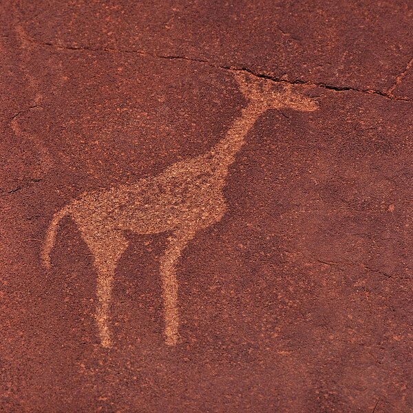 File:Giraffe, Twyfelfontein.jpg