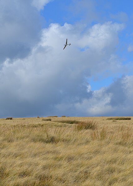 File:Glider over Abney Moor - geograph.org.uk - 3186561.jpg