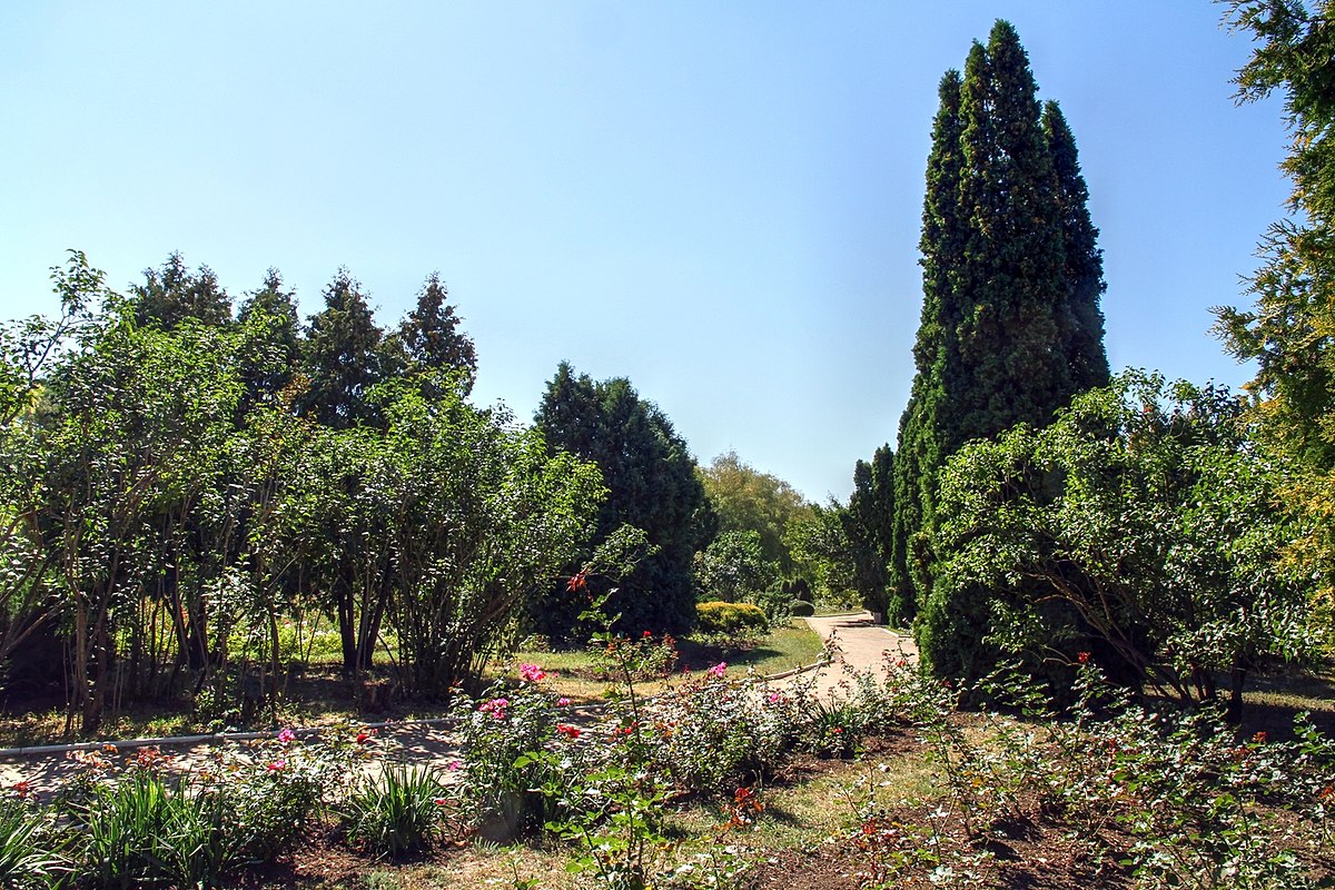 Ботанический парк Тирасполь