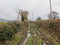 Thumbnail for File:Green lane, Pitchford - geograph.org.uk - 3851560.jpg